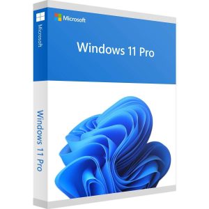 ‎Windows 11 Pro Lifetime License Key – 1PC